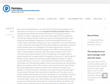Tablet Screenshot of primediahq.com